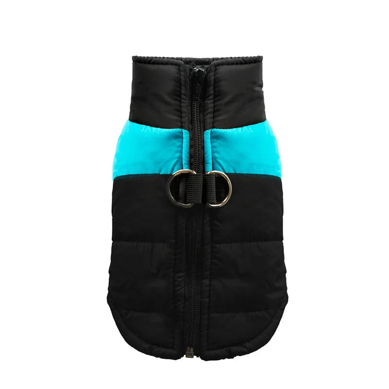 Clothing - Small - Medium Jacket - 2Tails