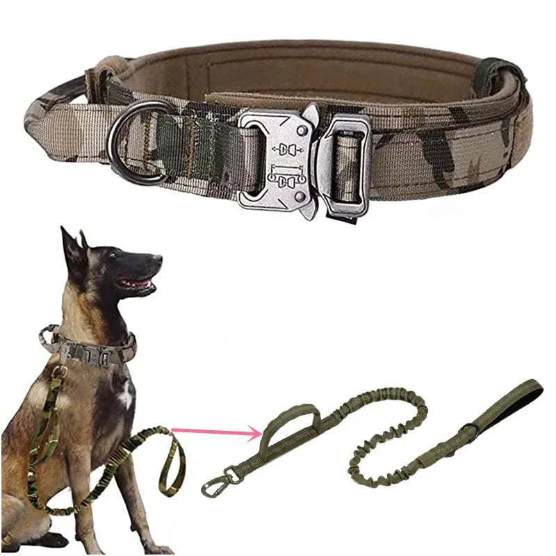 double-handle-heavy-duty-lead-and-collar