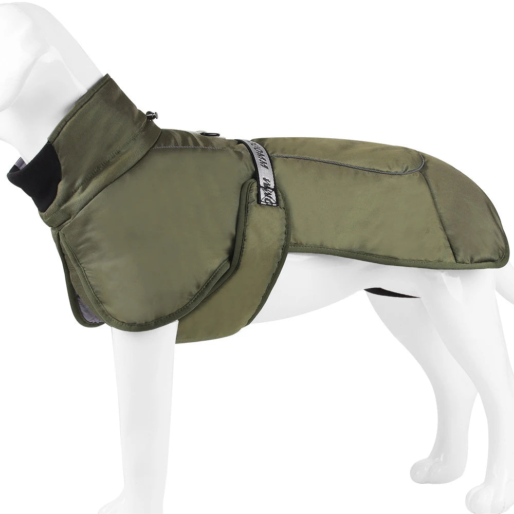 Clothing - Big Dog Jacket - 2Tails