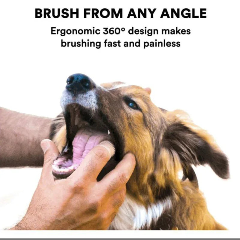 finger-toothbrush-for-dogs