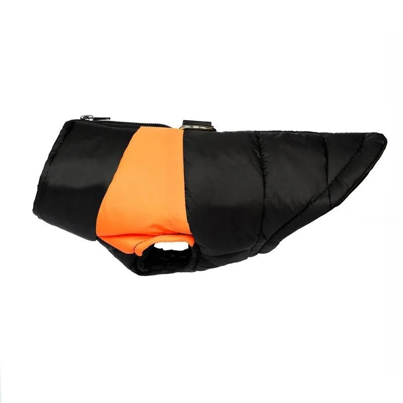 Clothing - Small - Medium Jacket - 2Tails
