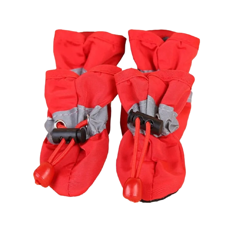 Clothing - Dog Boots - 2Tails