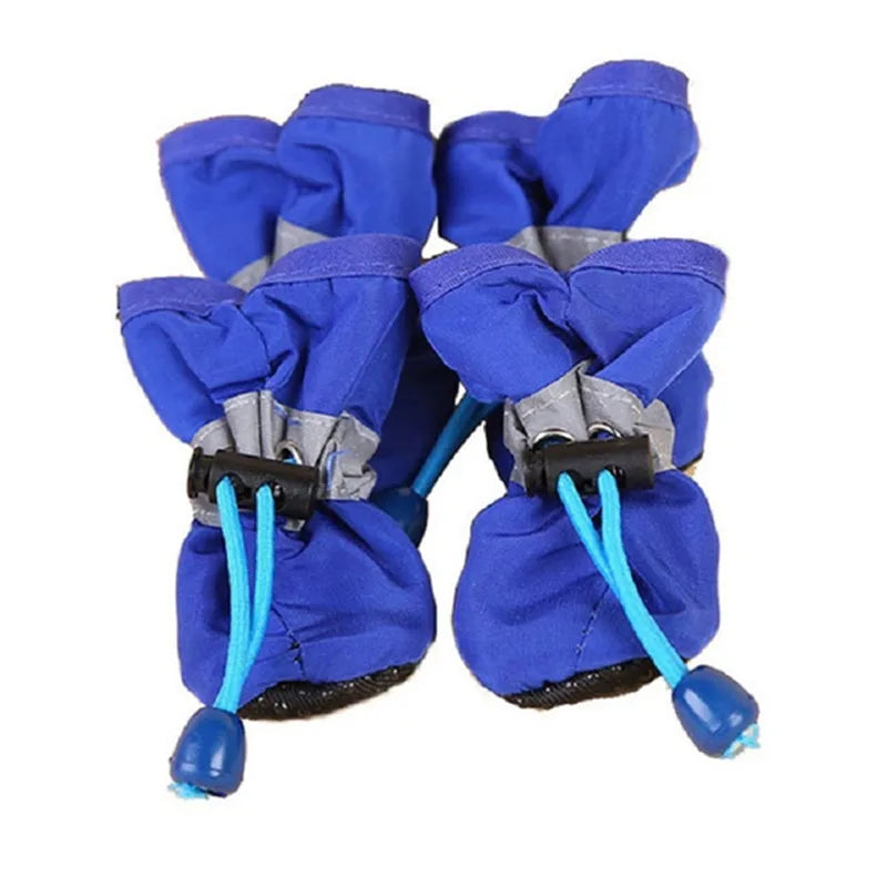 Clothing - Dog Boots - 2Tails