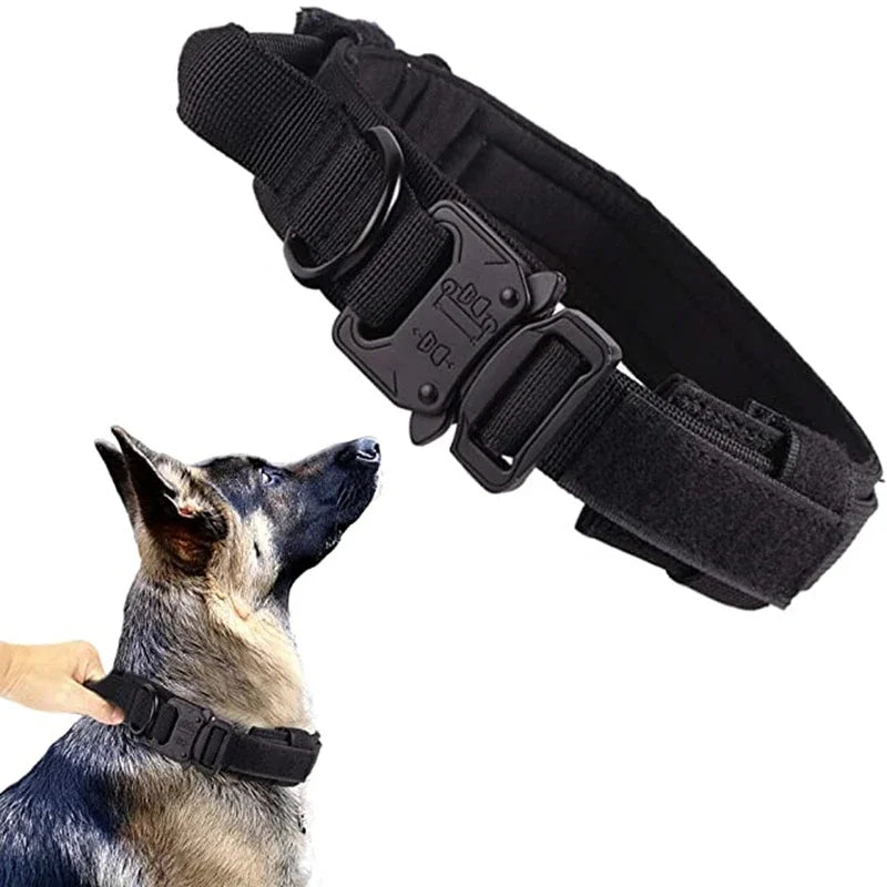 double-handle-heavy-duty-lead-and-collar