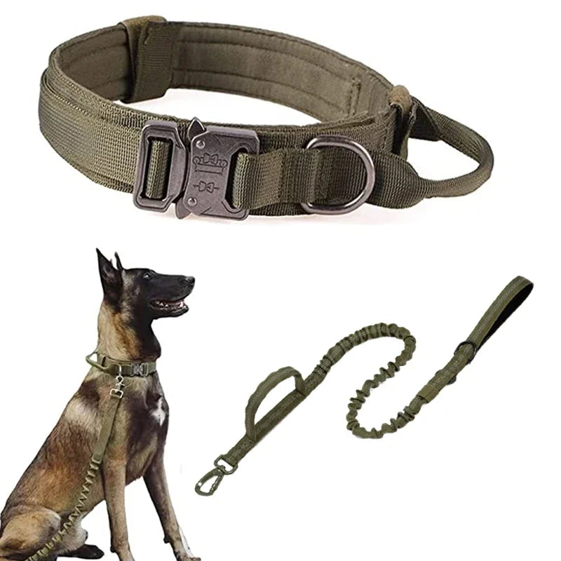 double-handle-heavy-duty-lead-and-collar