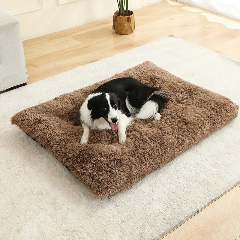 Dog Bed - Cushion - 2Tails