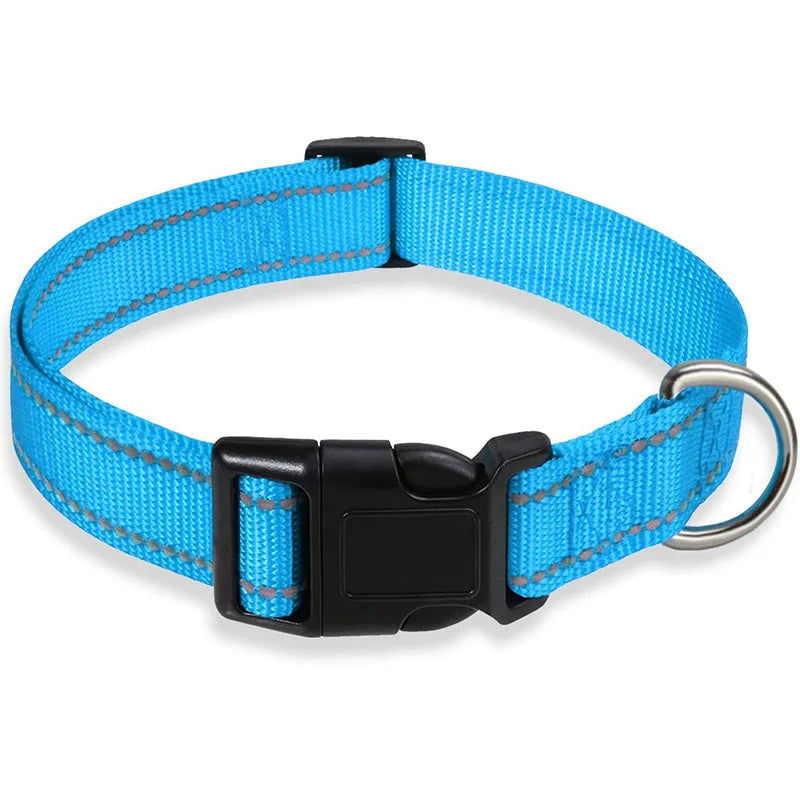 Classic-Dog-Collar