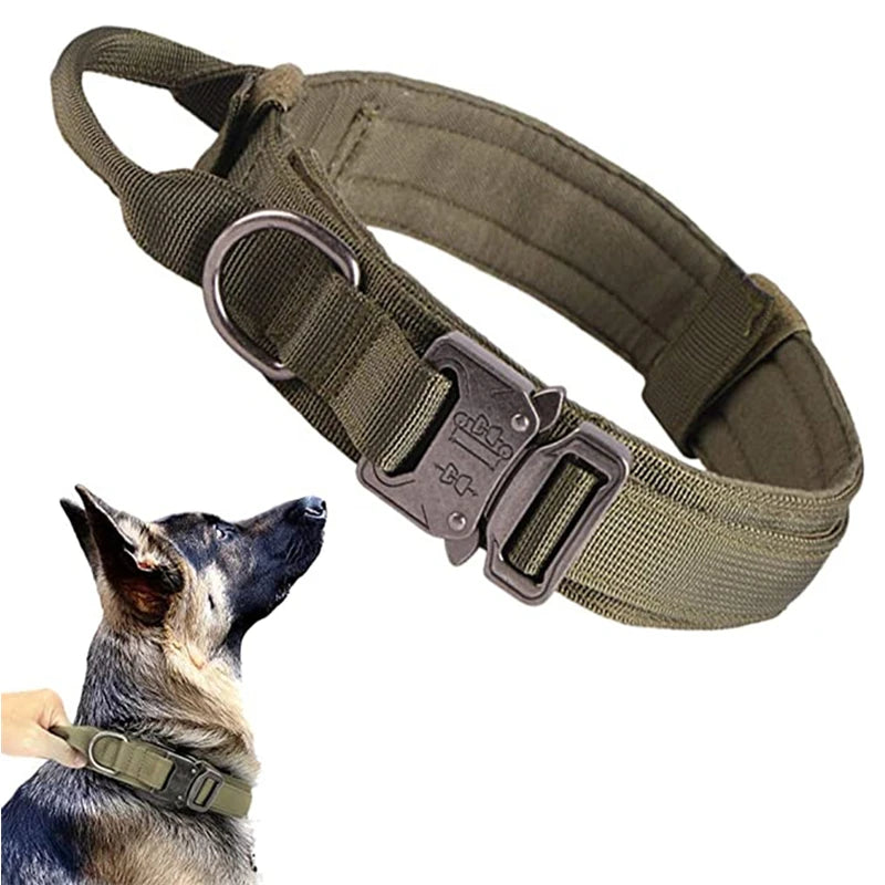 double-handle-heavy-duty-lead-and-collar