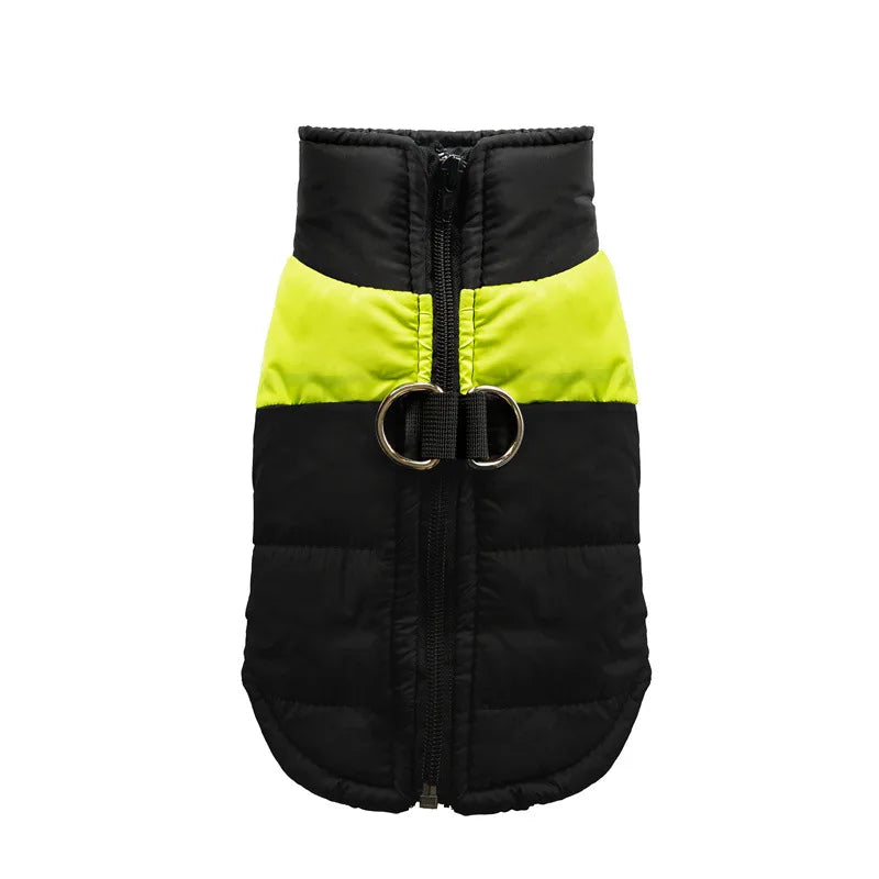 Clothing - Small - Medium Jacket - 2Tails