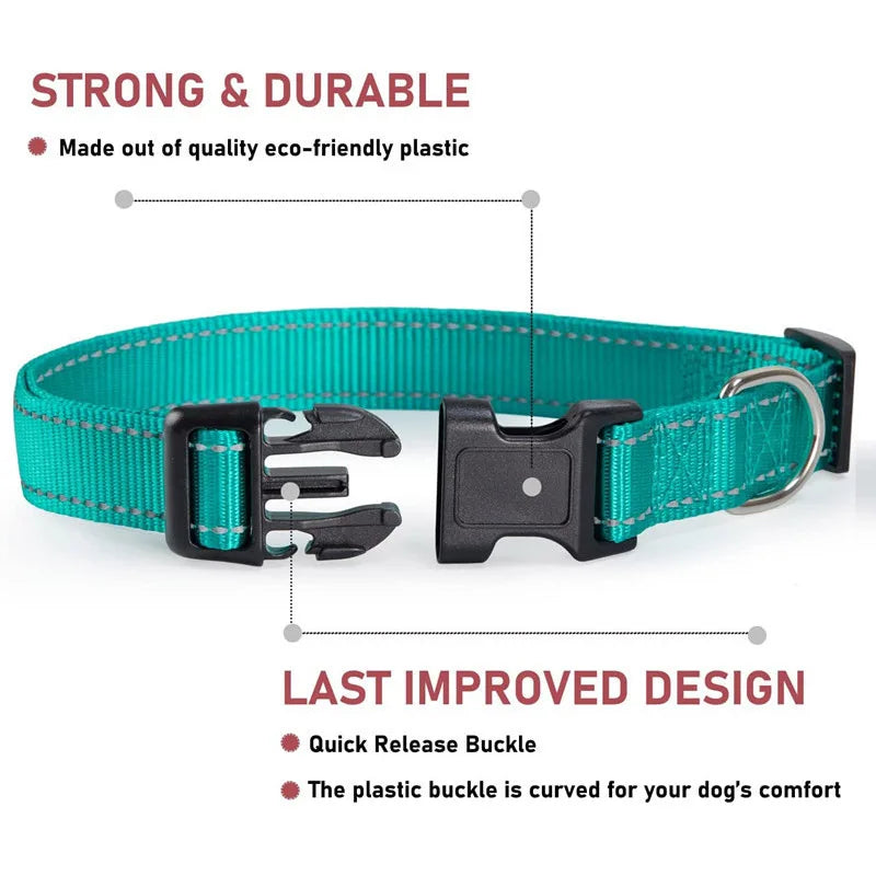 Classic-Dog-Collar