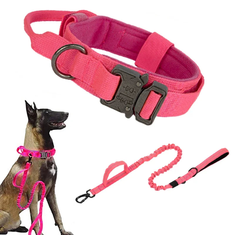 double-handle-heavy-duty-lead-and-collar