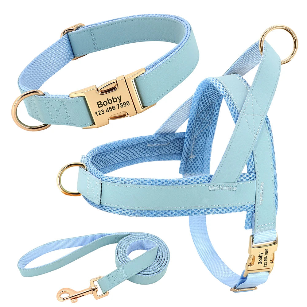 Personalised Dog - Collar, Harness & Lead Set