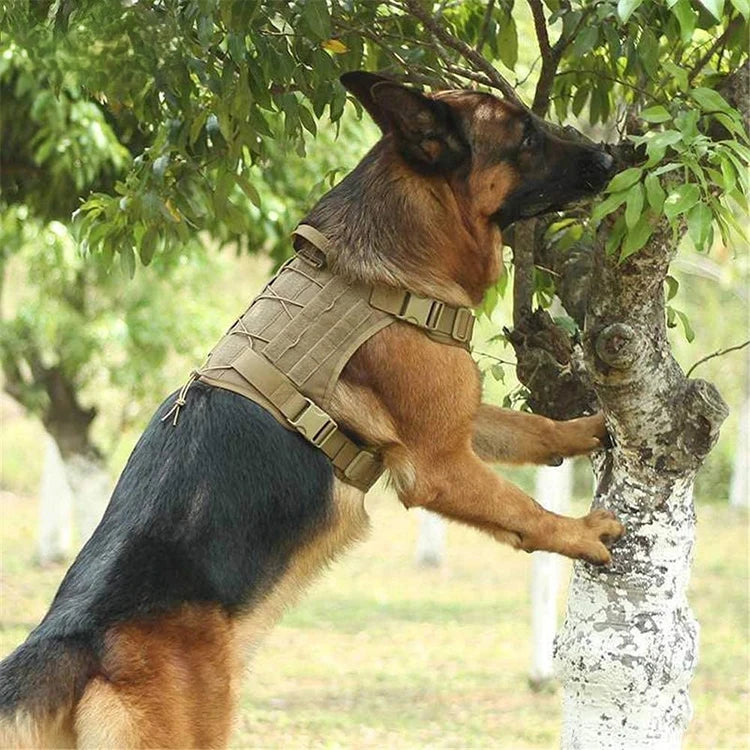 tactical-dog-harness