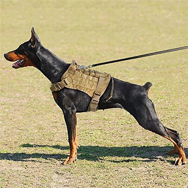 tactical-dog-harness