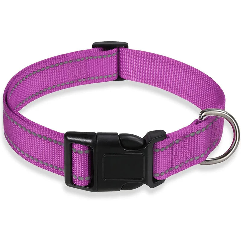 Classic-Dog-Collar