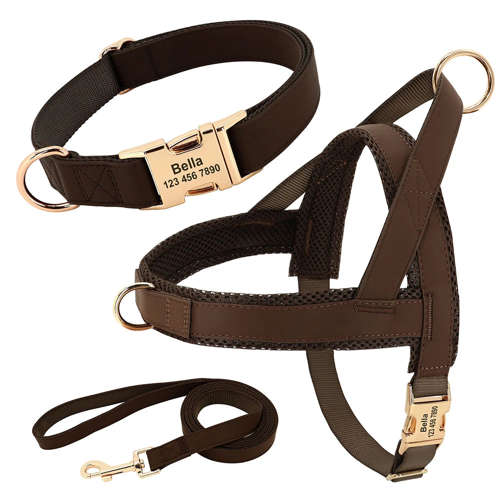 Personalised Dog - Collar, Harness & Lead Set
