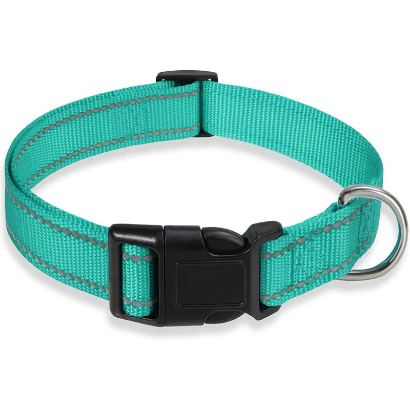 Classic-Dog-Collar