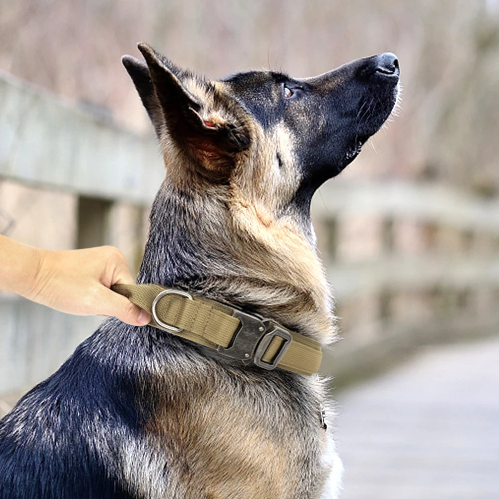 double-handle-heavy-duty-lead-and-collar
