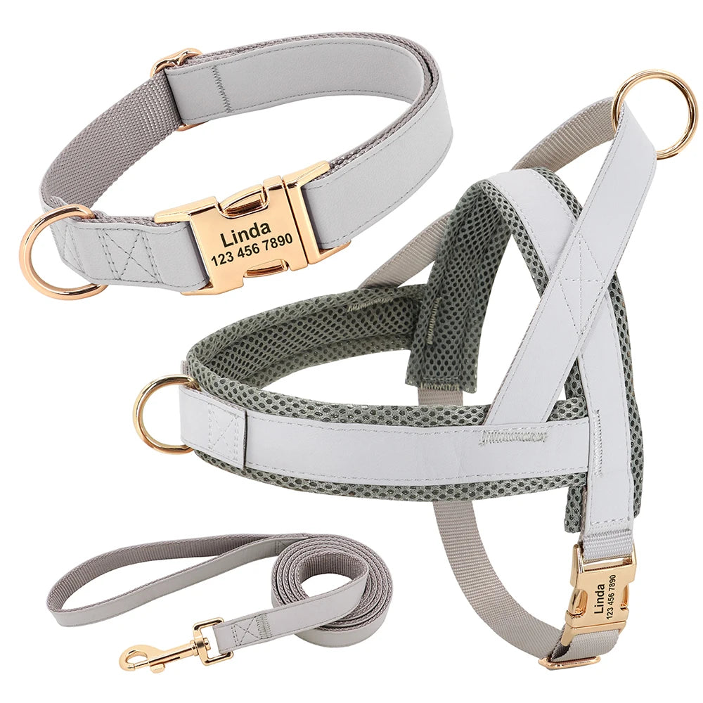 Personalised Dog - Collar, Harness & Lead Set