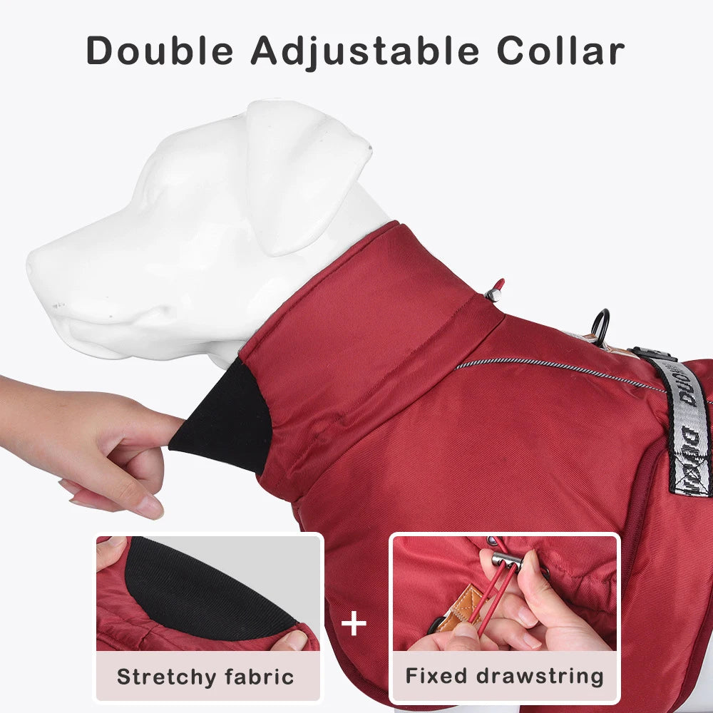 Clothing - Big Dog Jacket - 2Tails