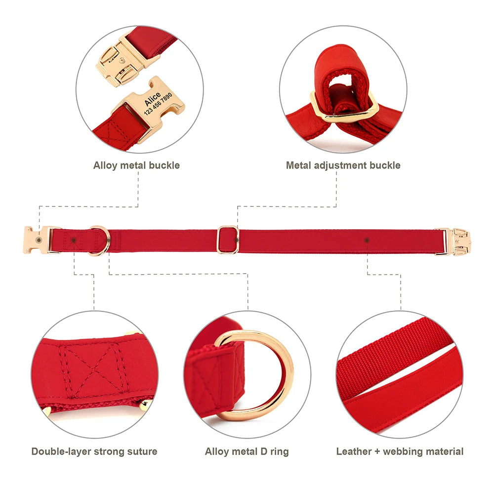 Personalised Dog - Collar, Harness & Lead Set