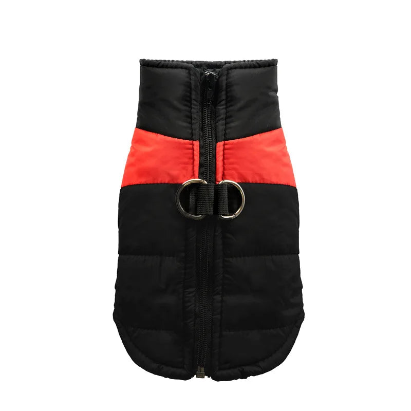 Clothing - Small - Medium Jacket - 2Tails