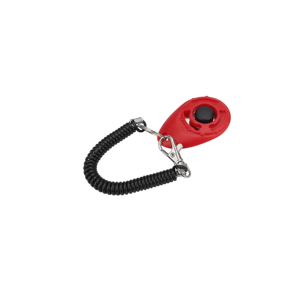 Training - Clicker - 2Tails