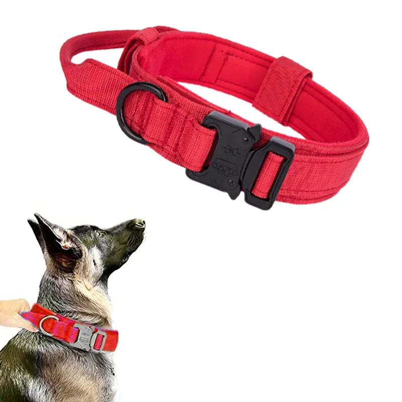 double-handle-heavy-duty-lead-and-collar
