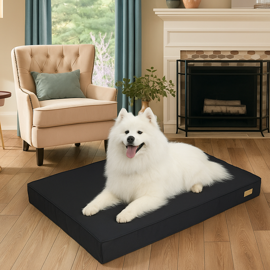Dog Bed - Orthopaedic - Large - 2Tails