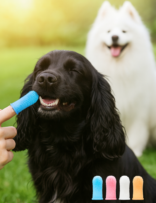Grooming - Finger Toothbrush for Dogs