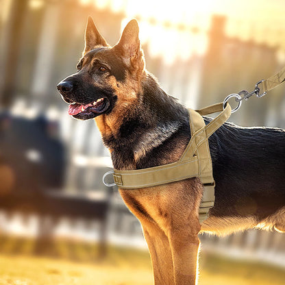 Harness - Soft Padded - 2Tails