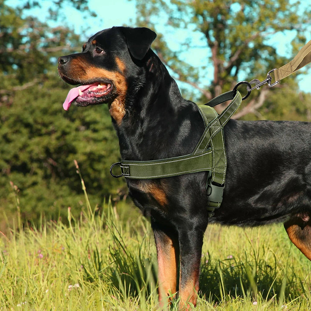 Harness - Soft Padded - 2Tails