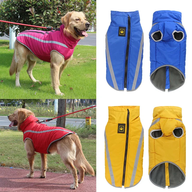 winter-jacket-for-dogs