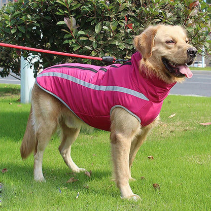 winter-jacket-for-dogs