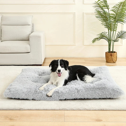 Dog Bed - Cushion - 2Tails