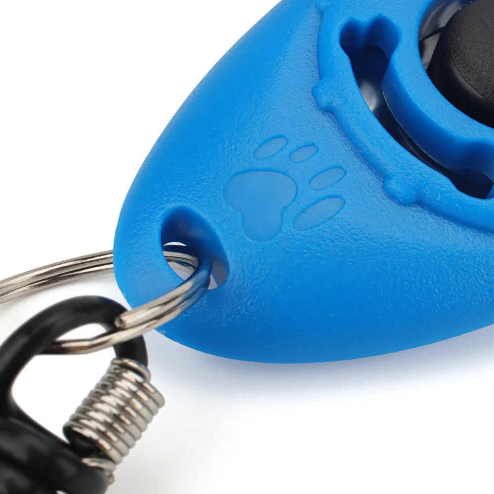Training - Clicker - 2Tails