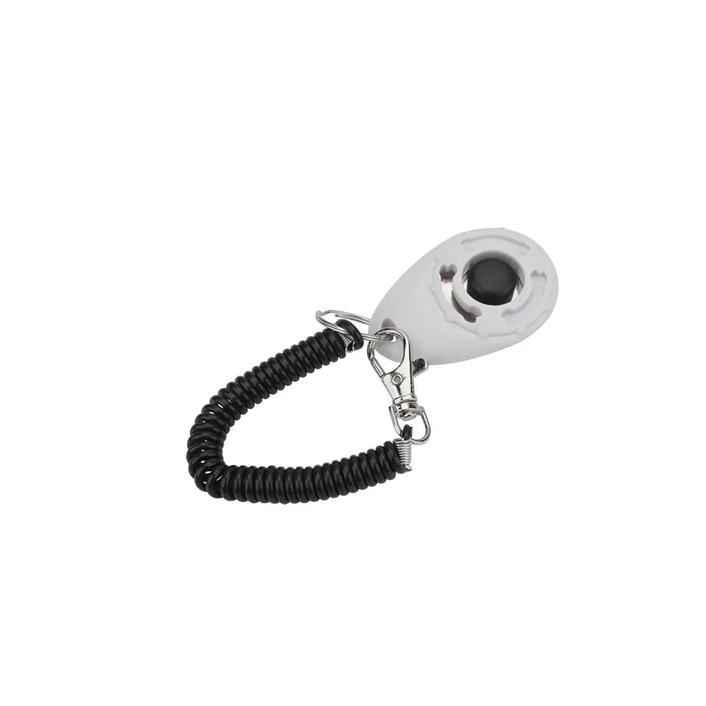 Training - Clicker - 2Tails