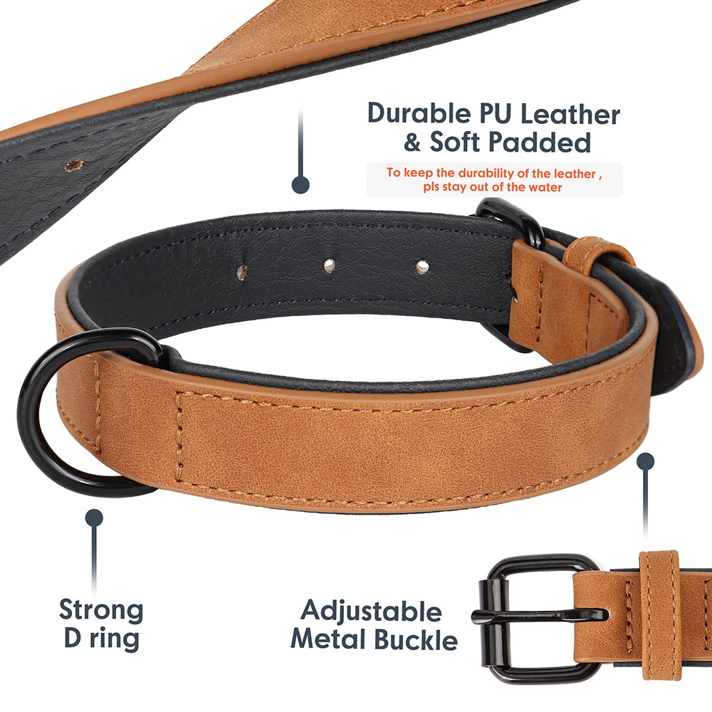 Dog Collar - Leather Soft Padded - 2Tails