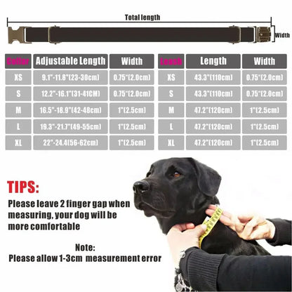 Dog Collar with Matching Lead - Personalised - 2Tails
