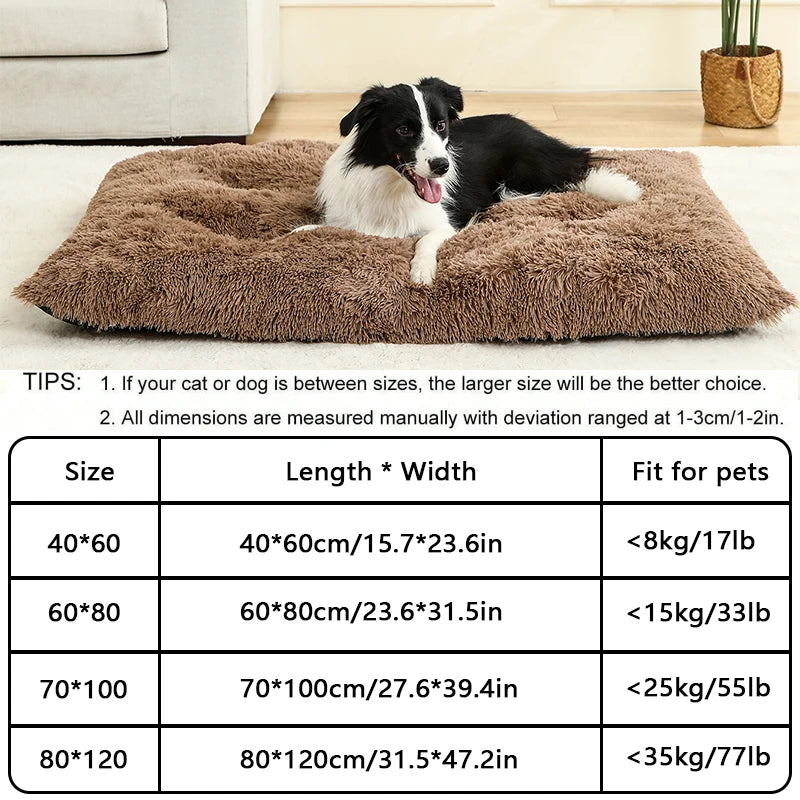 Dog Bed - Cushion - 2Tails