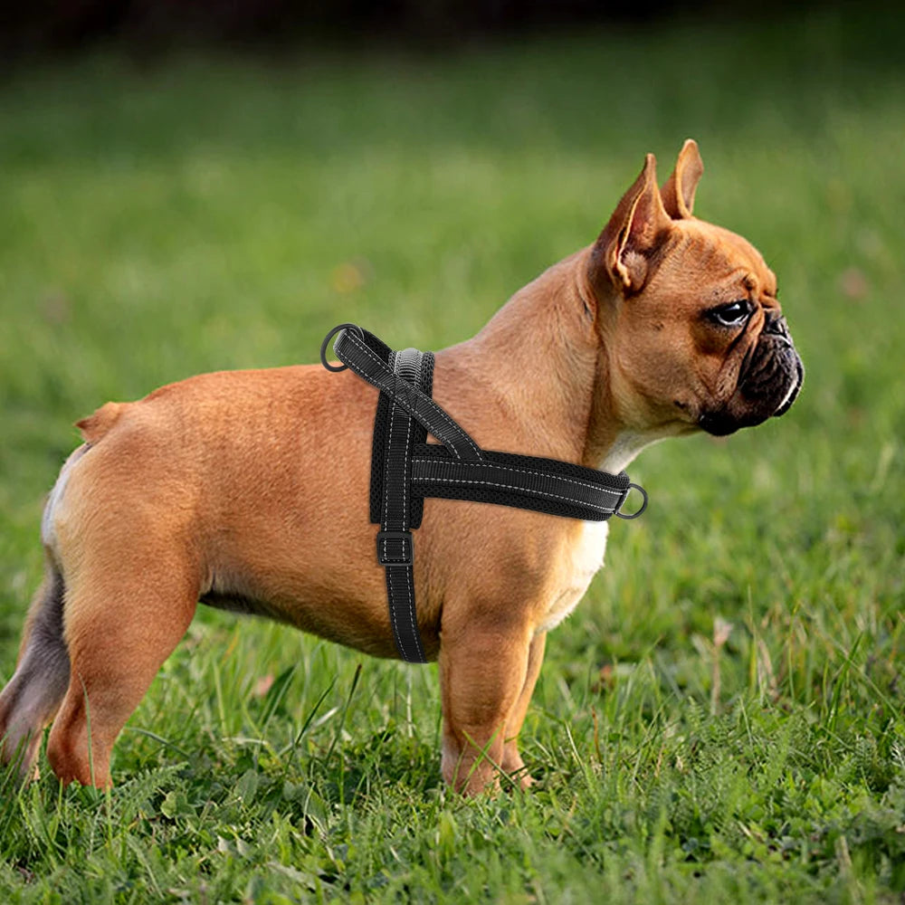 Harness - Soft Padded - 2Tails
