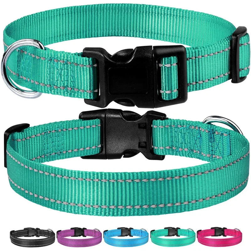 Classic-Dog-Collar