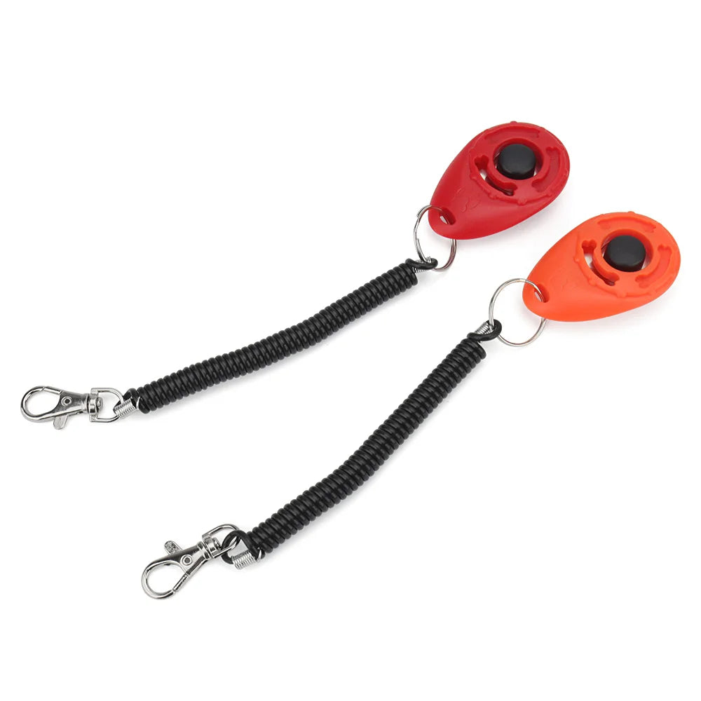 Training - Clicker - 2Tails
