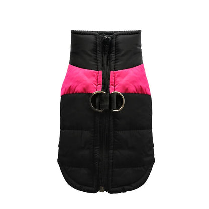 Clothing - Small - Medium Jacket - 2Tails
