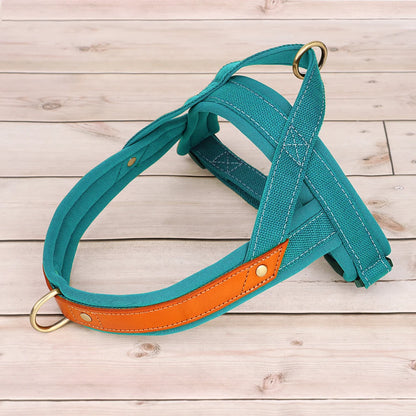 Harness - Soft Padded - 2Tails