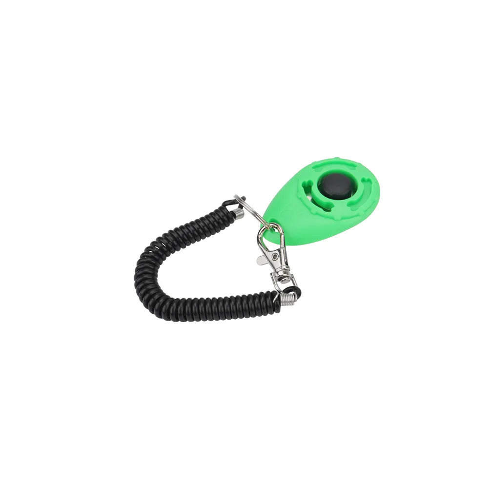 Training - Clicker - 2Tails