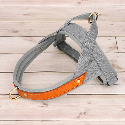 Harness - Soft Padded - 2Tails