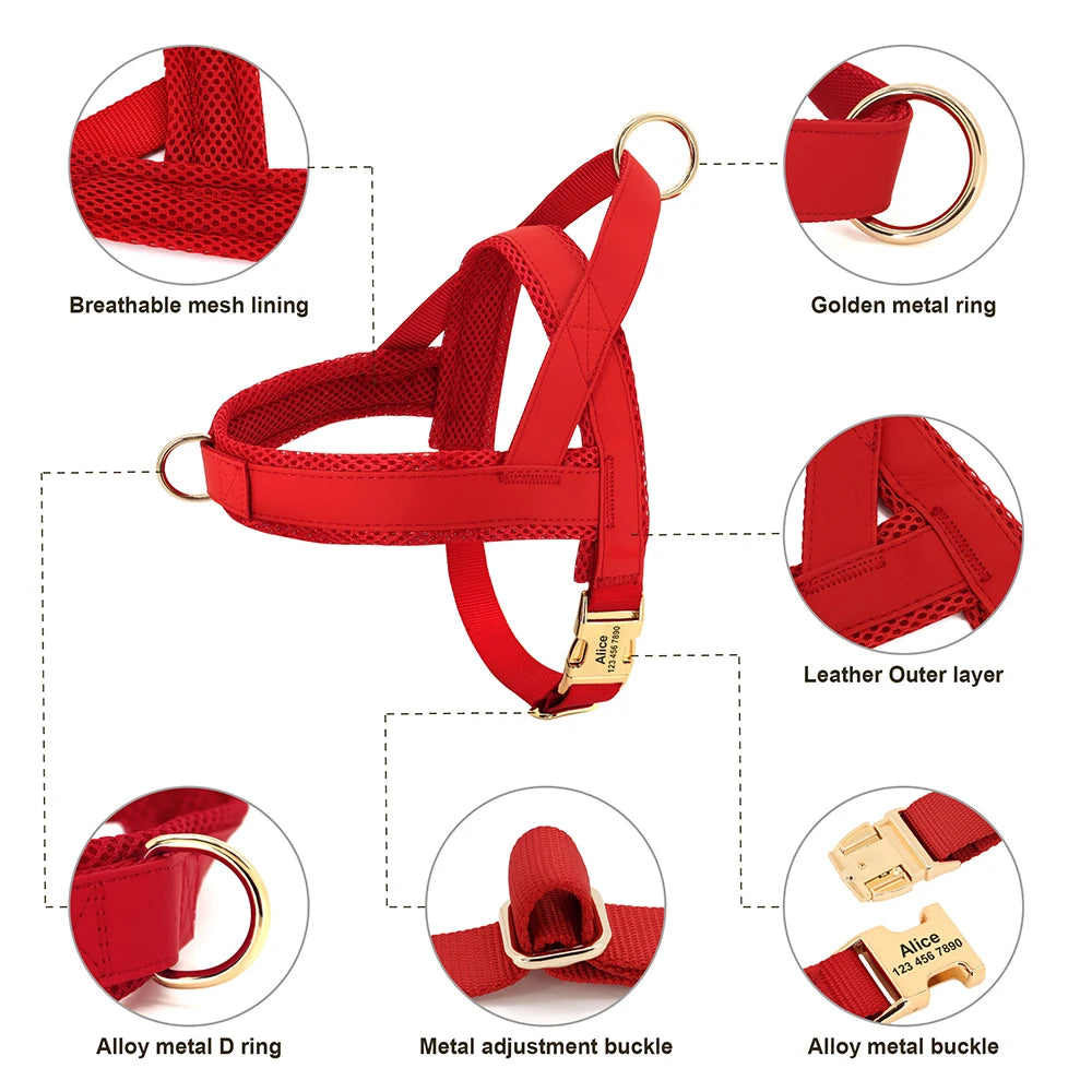 Personalised Dog - Collar, Harness & Lead Set