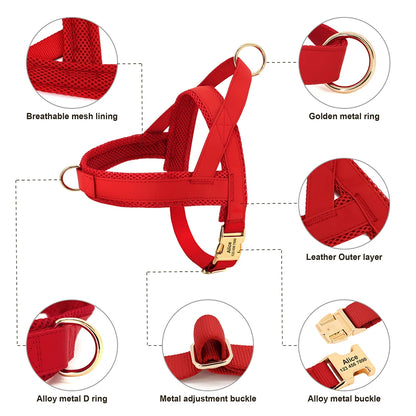 Personalised Dog - Collar, Harness & Lead Set