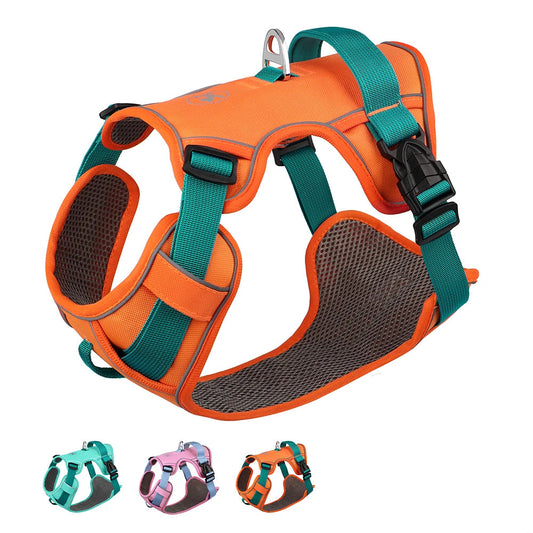 Harness - Training Vest - 2Tails